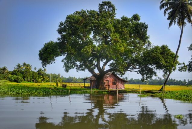 Beauty of nature kerala