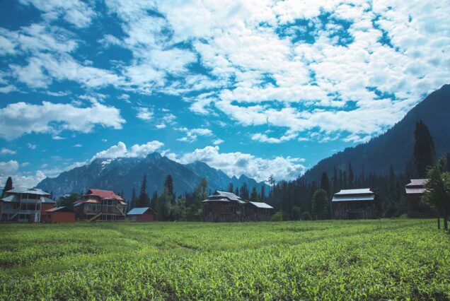 Beautiful Kashmir