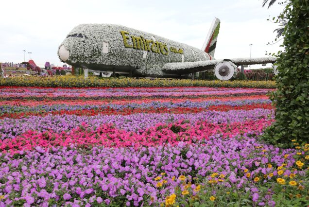 Dubai With Miracle Garden