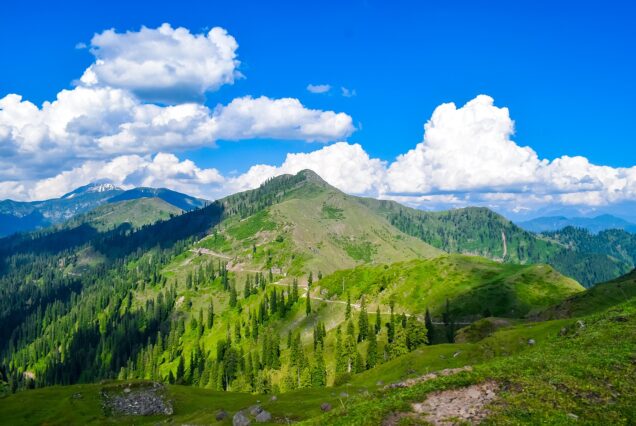 Paradise Kashmir